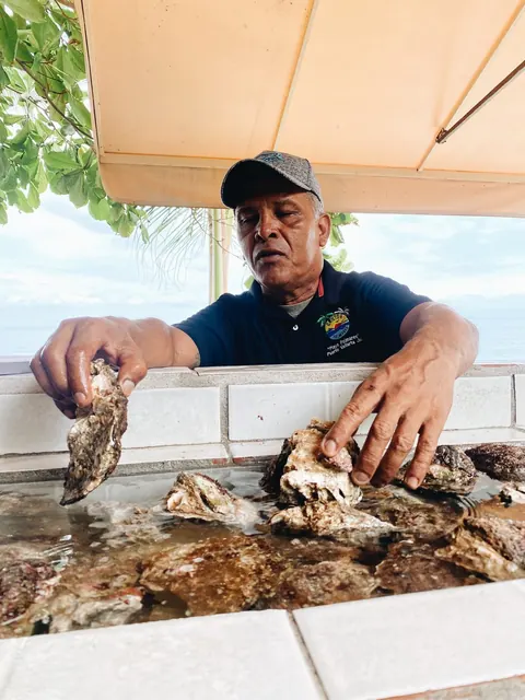 Oyster shucker, Puerto Vallarta