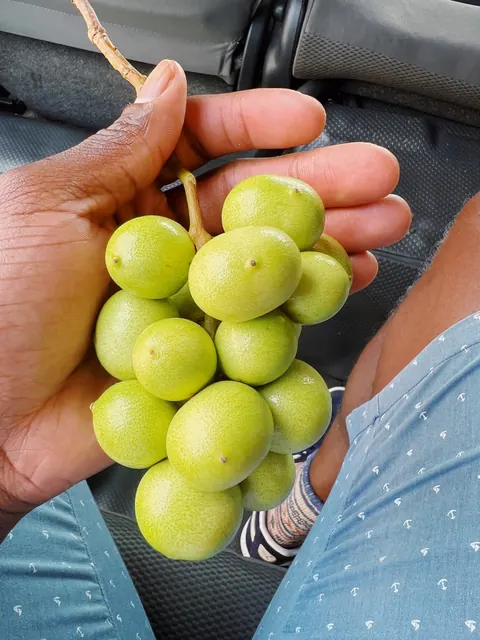 Fresh local fruit in St. Kitts and Nevis