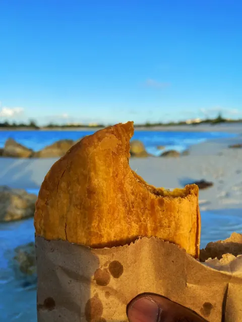 Conch by the water